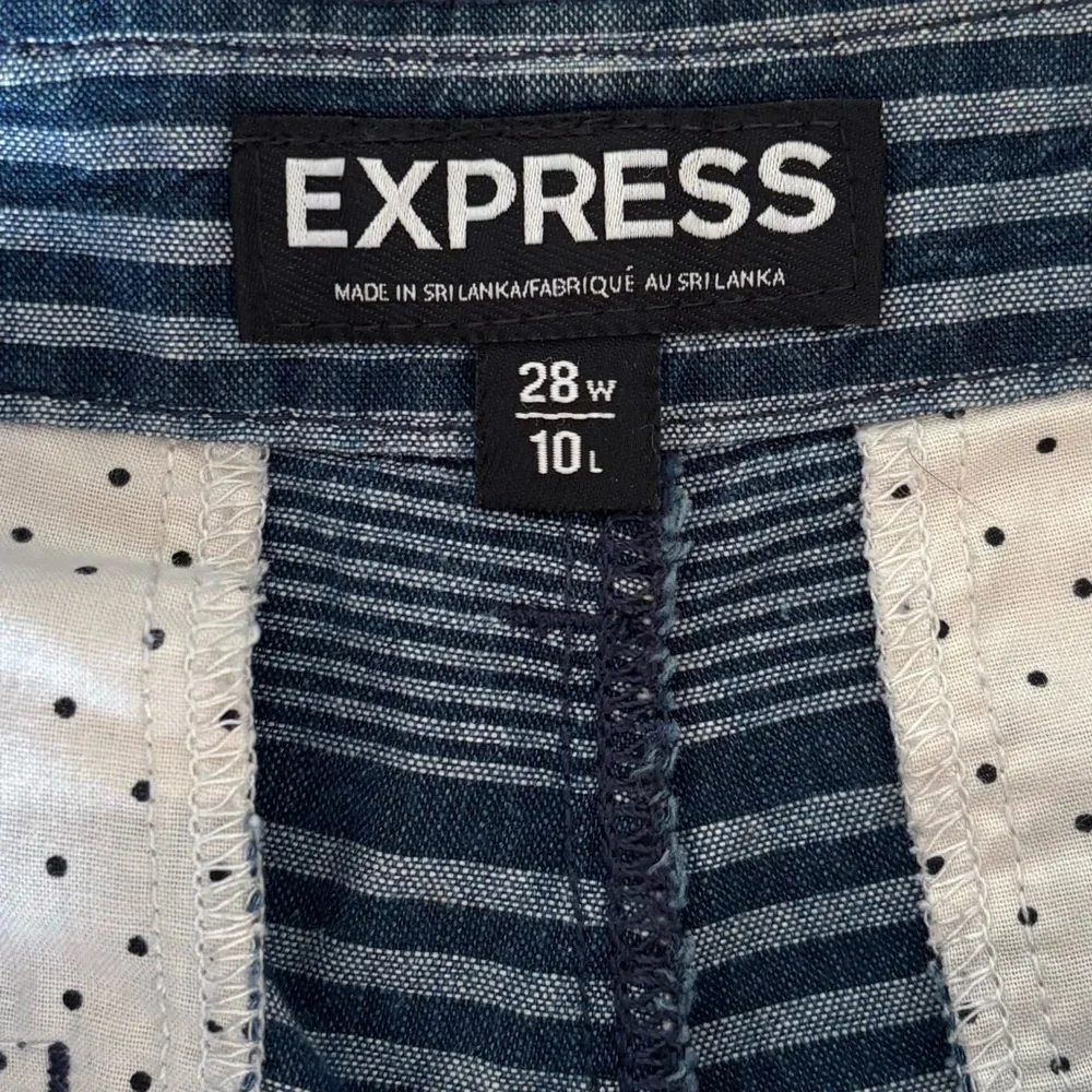 Express Shorts in Blue Stripes Size 28